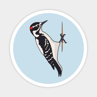Hairy woodpecker (pocket) Magnet